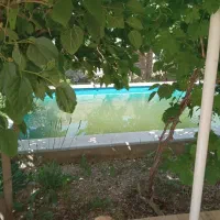 فروش یا معاوضه یک قطعه باغ 800 متری|فروش زمین و ملک کلنگی|شیراز, جمال آباد|دیوار