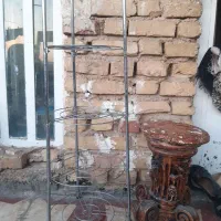 جا گلدانی استند|گل و گیاه طبیعی|شیراز, ریاستی|دیوار