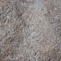 کاه لوبیا|حیوانات مزرعه|الیگودرز, |دیوار