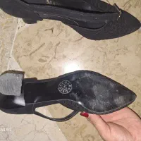 کفش مجلسی|کیف، کفش، کمربند|تهران, شهرآرا|دیوار