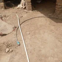 تاسیساتی رضا