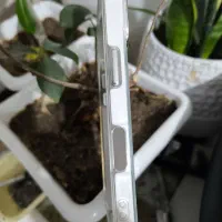 کاورایفون ۱۶ نرمال|لوازم جانبی موبایل و تبلت|سراب, |دیوار