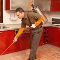 سمپاشی خانه وباغ+سموم ترکیبی زیرنظرمتخصص|خدمات باغبانی و درختکاری|چالوس, |دیوار