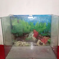 آکواریوم شیشه خم با درب۴۷سانتی متر