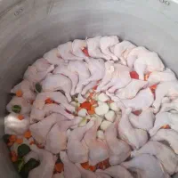 آشپزی مجالس سادات گراوند