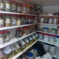 فروش اجناس و وسائل عطاری|فروشگاه و مغازه|شیراز, پودنک|دیوار