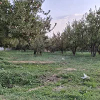 فروش باغ در سربست سپیدان روستای قلعه خرابه