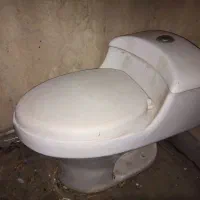 سرویس فرنگی