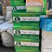 گردو دندان‌ها|عمده‌فروشی|تهران, هرندی|دیوار