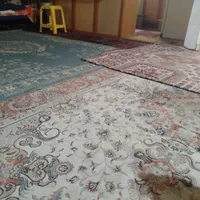 در تهرانپارس شرقی