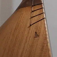 قوپوز ساز استادپاشازاده|سازهای سنتی|تبریز, |دیوار