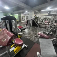 معاوضه مولتی جانگل