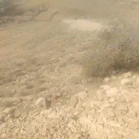 باغشهر دشتکوه ، کیمیا