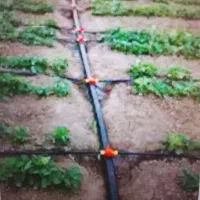 خدمات آبیاری قطره ای