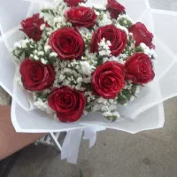 گل طبیعی و مصنوعی|گل و گیاه طبیعی|پاکدشت, پاکدشت (مامازند)|دیوار