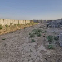 باغ با درختان آجیلی دو ساله ۱۹۰۰ متر خورزوق