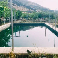 باغ-با-سند-عارفی