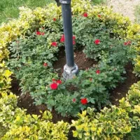 خدمات باغبانی هرس و چاله کندن