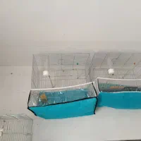 ۳عدد قفس تکمیل مستطیل