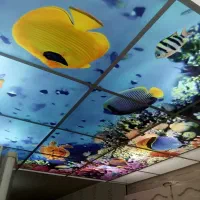 کناف .پلکسی. نورپردازی .لاین نوری|خدمات پیشه و مهارت|سنندج, |دیوار