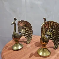طاووس برنز