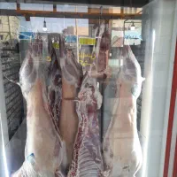 گوسفنده زنده گوشت جگر سیرابی|خوردنی و آشامیدنی|درح, |دیوار