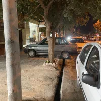 واگذاری اکسسوری بدلیجات لوازم تحریر|بدلیجات|مشهد, خواجه ربیع|دیوار
