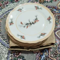 چینی 12 نفره|ظروف سرو و پذیرایی|ثلاث باباجانی, |دیوار