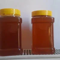 عسل طبیعی و با کیفیت|خوردنی و آشامیدنی|تهران, جمهوری|دیوار