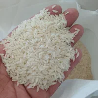 فروش برنج طارم هاشمی اصل فریدونکنار|خوردنی و آشامیدنی|فریدون‌کنار, |دیوار