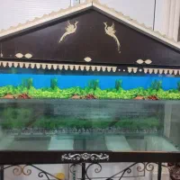 اکواریوم خونه ای سالم