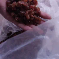 خشکبار و لبنیات|خوردنی و آشامیدنی|نیشابور, شهرک رسولی|دیوار