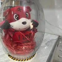 خرس ولنتاین