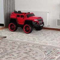 ماشین شارشی