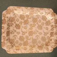 سینی|ظروف سرو و پذیرایی|بوشهر, |دیوار