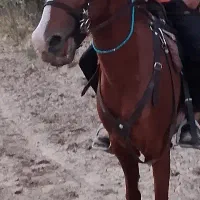 معاوضه دهنه آبخوری با سخت گیر