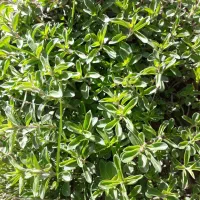 143-متر-دهنه-5