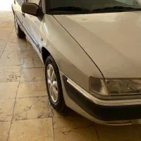 زانتیا درجه یک