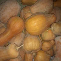 کدو حلوایی شیرین و عسل
