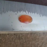 سنگ عقیق یمنی قدیمی، رنگ طبیعی|کلکسیون اشیاء عتیقه|زنجان, |دیوار