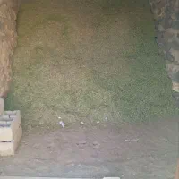 یونجه چین دوم