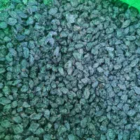 موژ ، کشمش سیاه دیمی