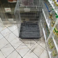 قفس پرنده