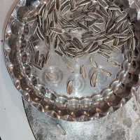 فروش تخمه آفتاب گردان اس ۳۰۰