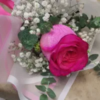 تینت