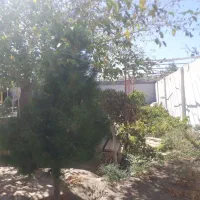 فروش باغ در خسروجرد خیابان بعث ، بعثت ۱۰|فروش خانه و ویلا|سبزوار, خسروجرد|دیوار