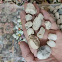 سنگ قیمتی آسیاب وغیره|جواهرات|تهران, مینای شمالی (مخبر)|دیوار
