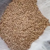 نخود بهاره فروشی