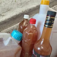 محصولات خانگی|خوردنی و آشامیدنی|شیراز, باغ تخت|دیوار