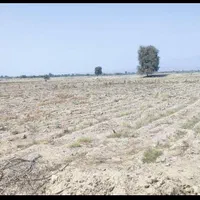 فروش سه هکتارونیم زمین کشاورزی زیارت مولامیناب|فروش دفتر صنعتی، کشاورزی، تجاری|میناب, |دیوار